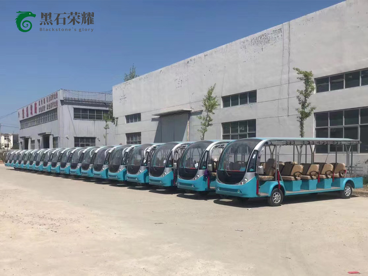 電動(dòng)觀(guān)光車(chē)