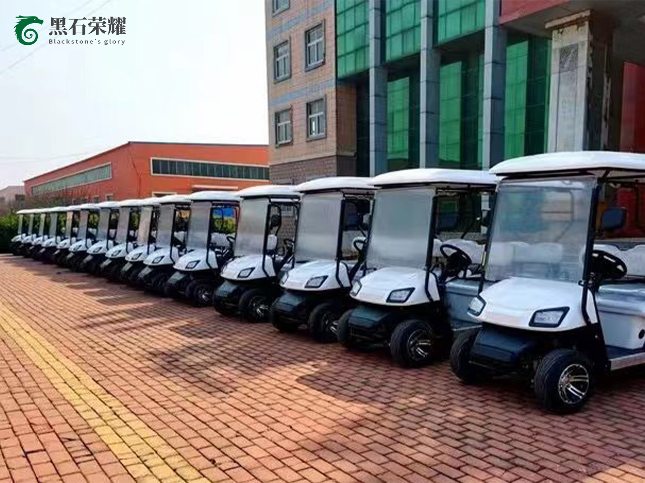 電動(dòng)高爾夫球車(chē)